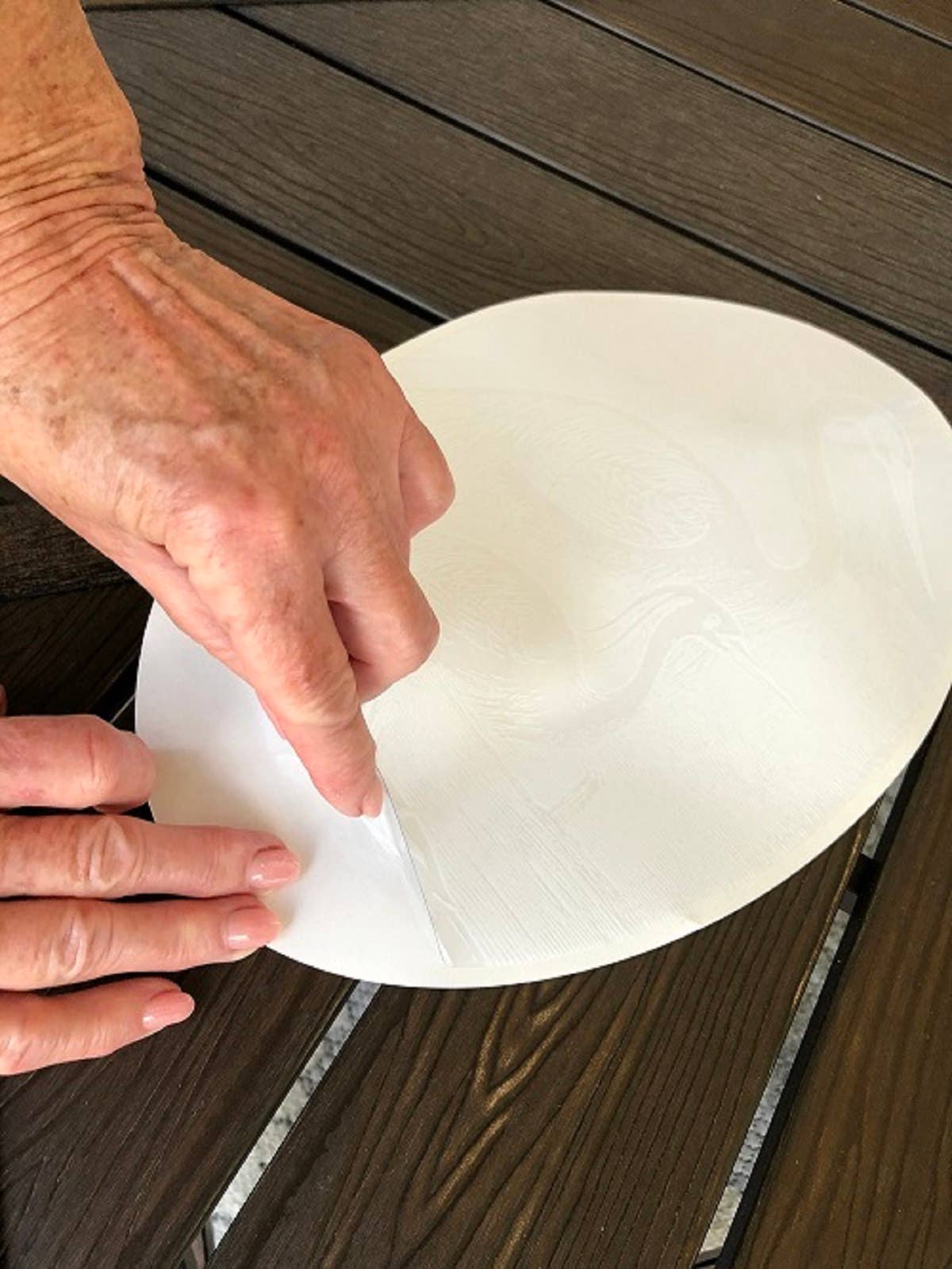 DCentral Magnetics - Venta al por mayor Vinilo/adhesivo de pared - Bird & Butterfly - Vinilo adhesivo para ventana «grabado»3