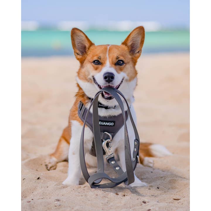 DJANGO - Wholesale Pet Harness - Dog - Tahoe No Pull Dog Harness - Poppy Seed Gray2