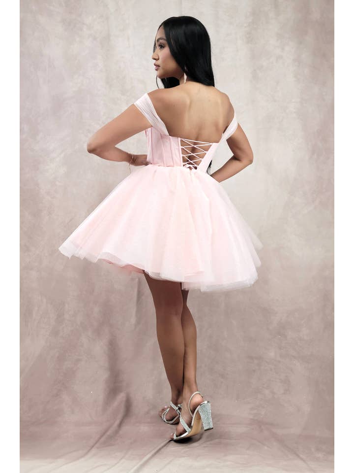 Chicas - Wholesale Dress - Women's - Short Off The Shoulder Tulle Dress With Brooch19