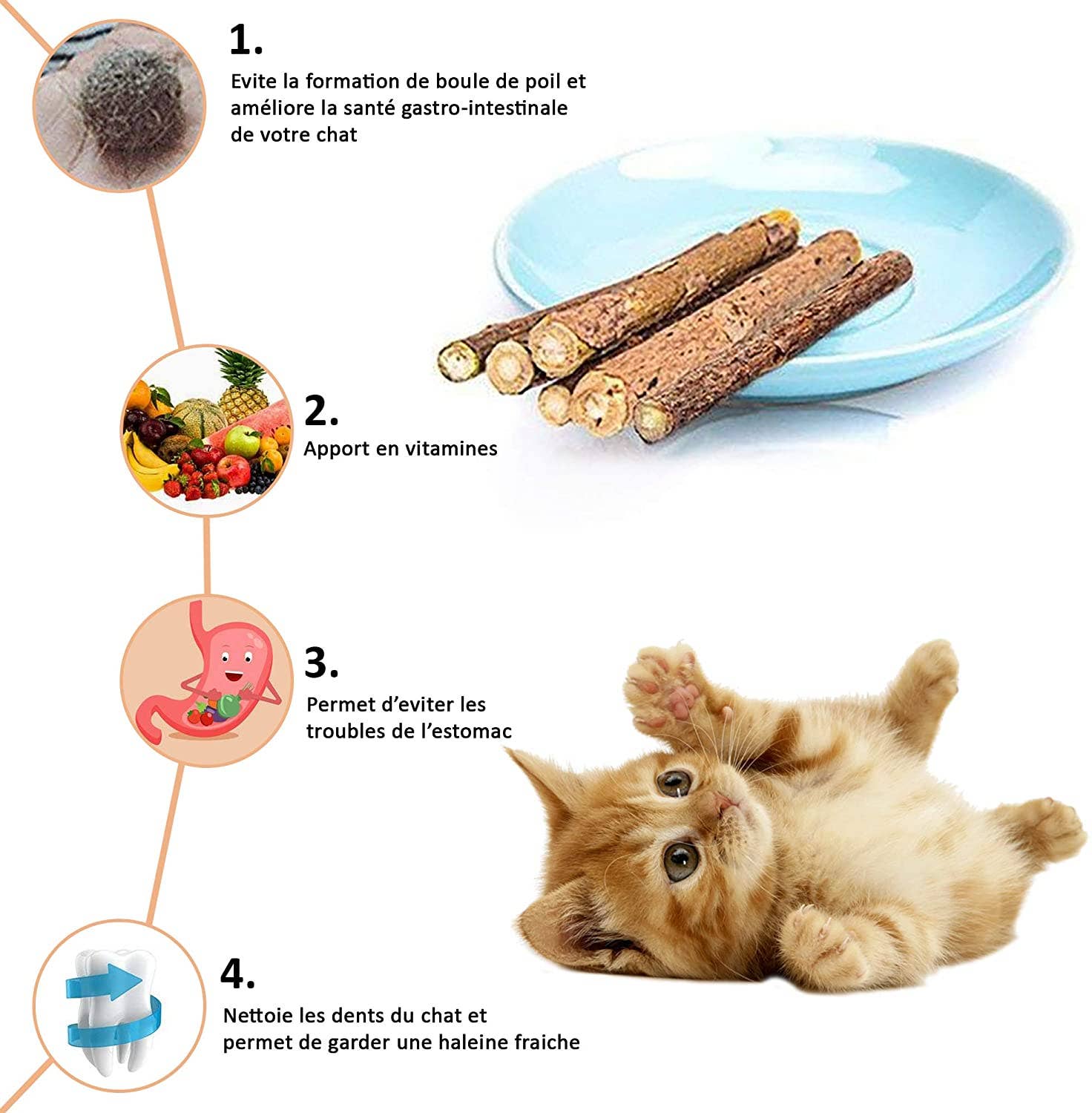 Cernunos – wholesale Leksak - Katt – Matatabi kattmynta pulver2