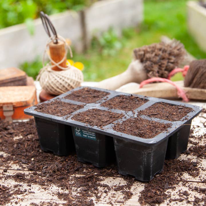 Wildlife World Ltd - Wholesale Plant Pot - 6 Cell XL Natural Rubber Seed Tray