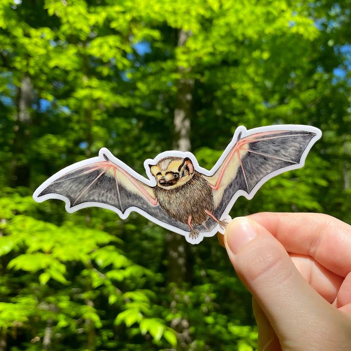 Hoary Bat Weatherproof Vinyl Sticker for wholesale by Allison Stoiser Art