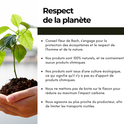 Conseil fleur de Bach – wholesale Oral supplement/vitamin – Bach Flowers Stress6