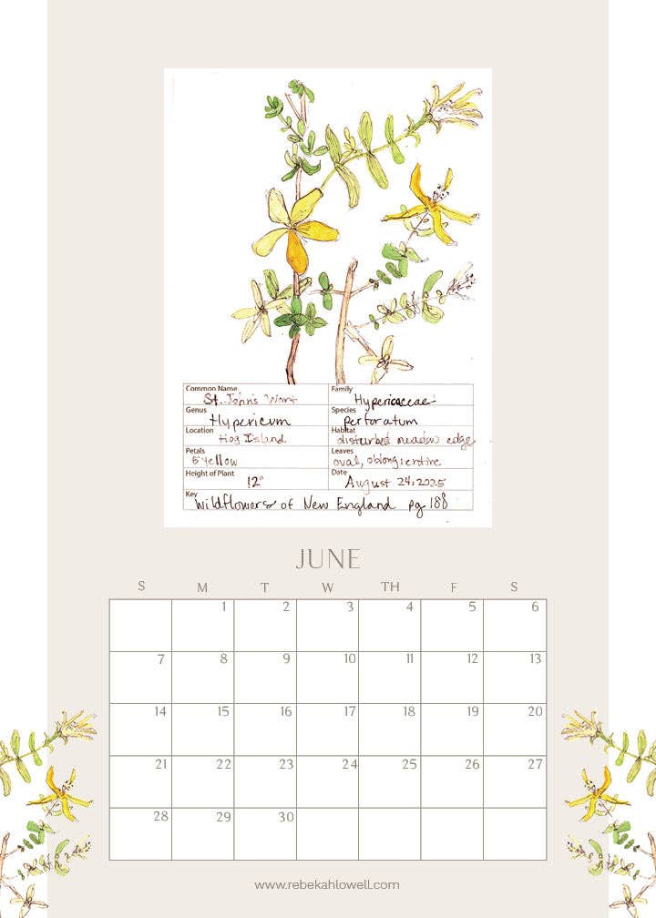 Rebekah Lowell Creative Studio - Wholesale Calendar - 2026 Wildflower Wall Calendar6