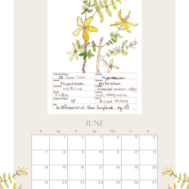 Rebekah Lowell Creative Studio - Wholesale Calendar - 2026 Wildflower Wall Calendar6