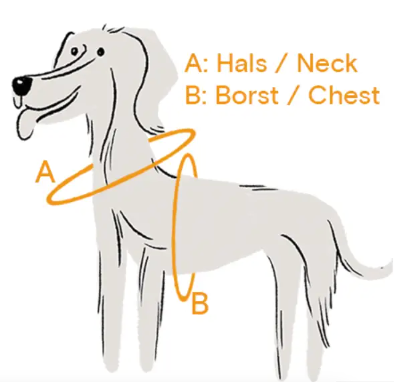 GULA DOG CARE – Großhandel Haustiergeschirr – Hund – Hundegeschirr NEU - Blau & Gelb4