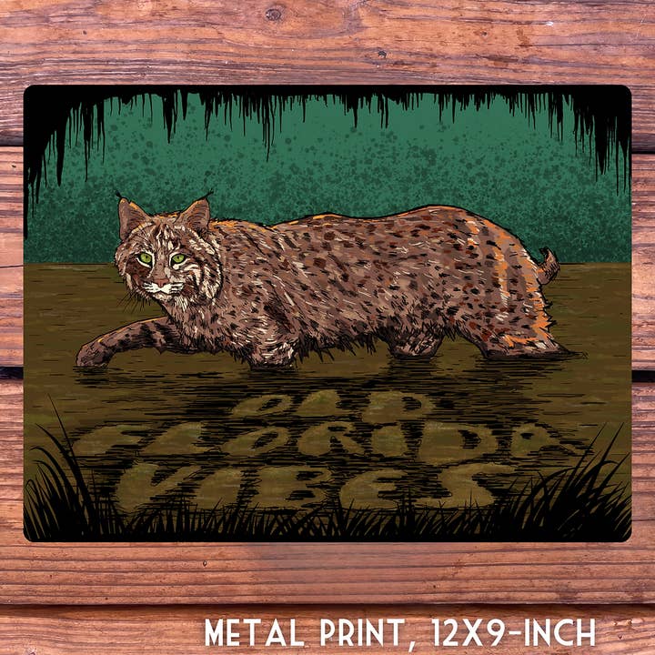 Swampy Bobcat Metal Print for wholesale by Old Florida Vibes