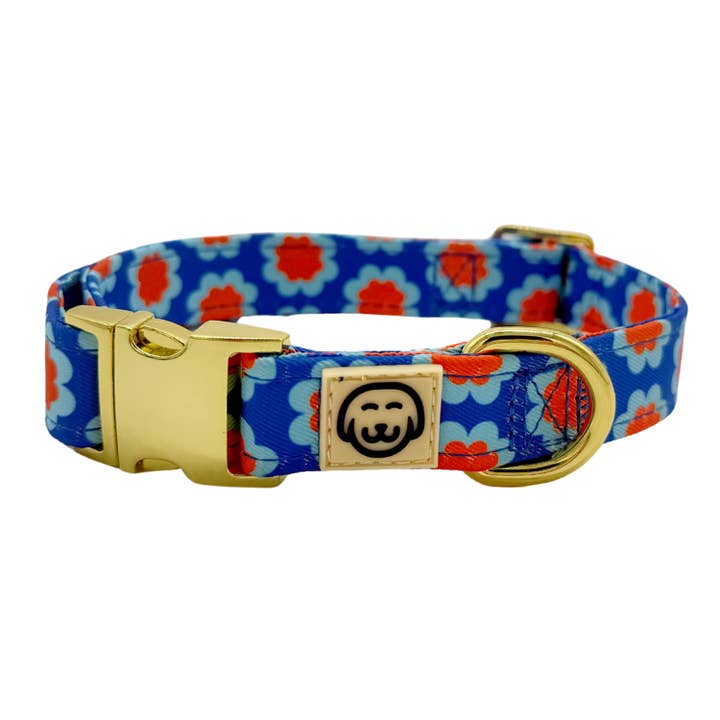 Sorrento - Hundhalsband för wholesale av Molly & Co.