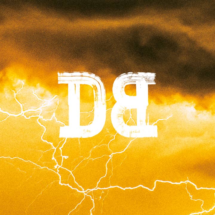 Dutch Bargain - Wholesale Beer - Zuidwester Beer Gluten Free Tripel 12x33cl2