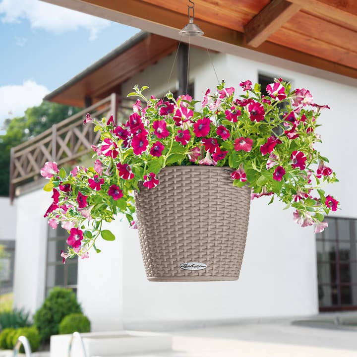 Lechuza Self Watering Planters - Venta al por mayor Macetas colgantes - Maceta colgante LECHUZA NIDO Cottage Poly Resina