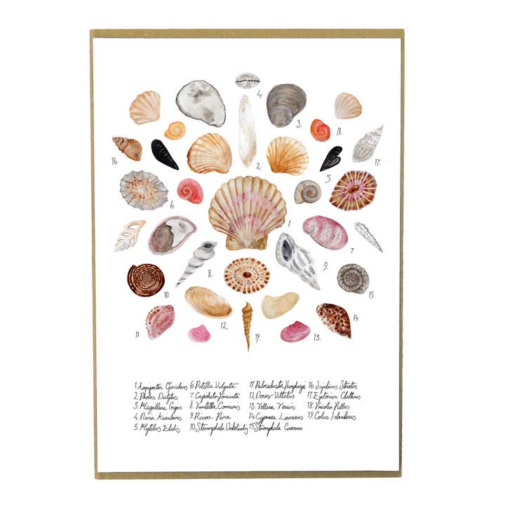 Stampa artistica Conchae per la vendita all'ingrosso da parte di Bison Bindery