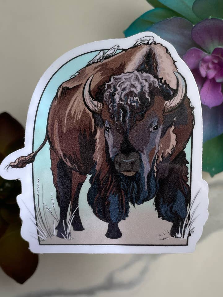 Bison for wholesale by A Dresser Drawer