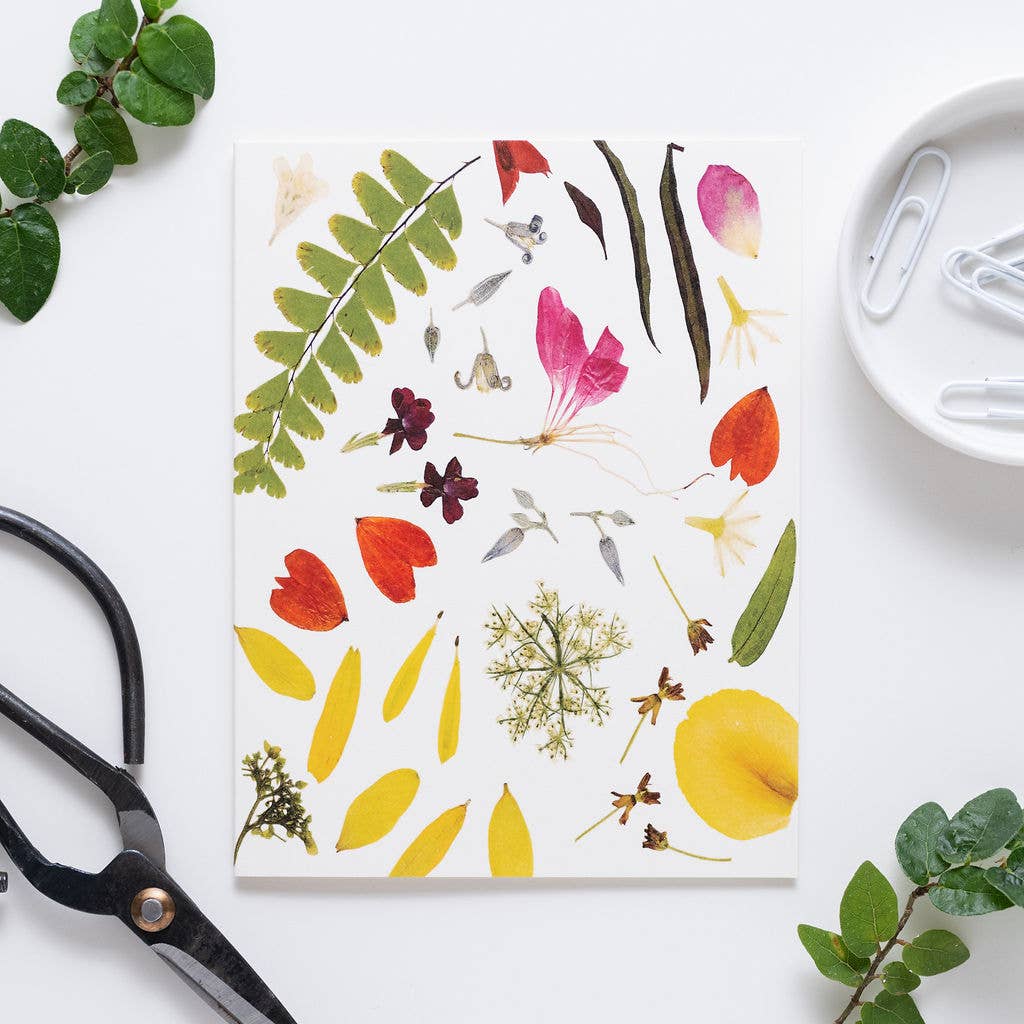 Petal People Press – Cartão de saudação diária por atacado – Verão1