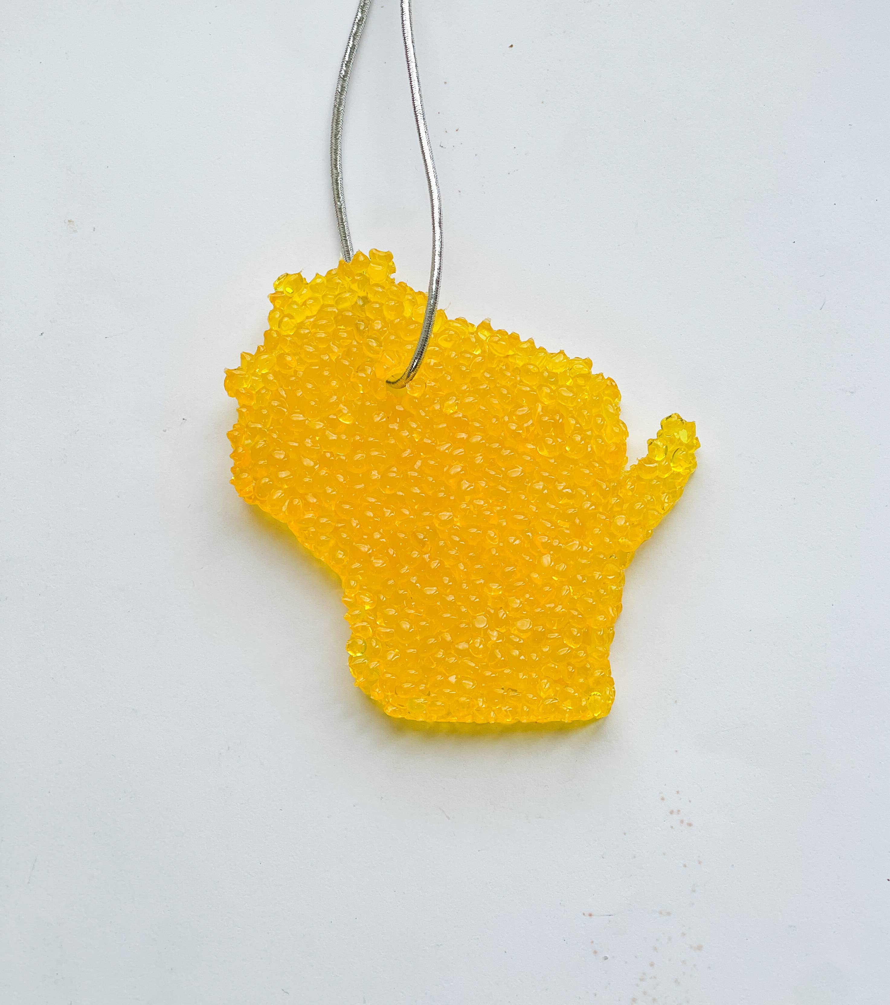 Coyer Candle Co. – wholesale Car Freshener - Unisex – State of Wisconsin Air Fresheners - Signature Collection6