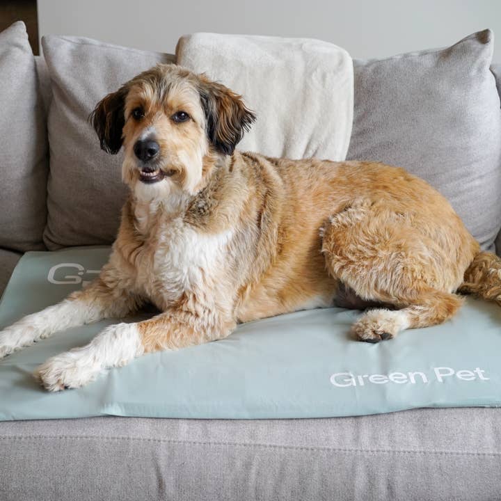 The Green Pet Shop - Wholesale Pet Bed - Dog - Cool Pet Pad Cover