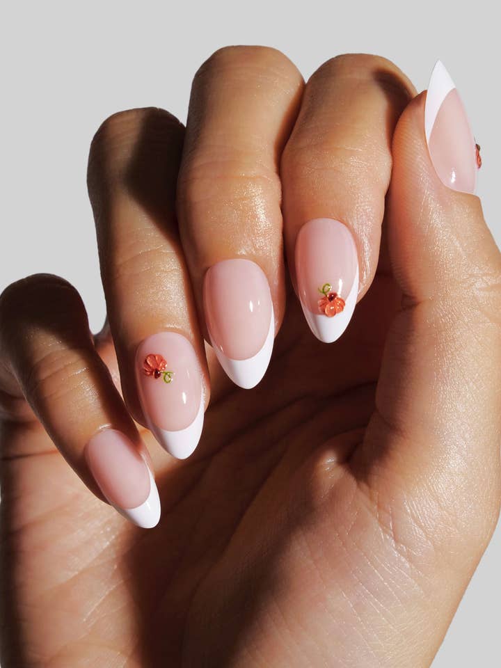 3D Sugar Pumpkin for wholesale by Celebritips