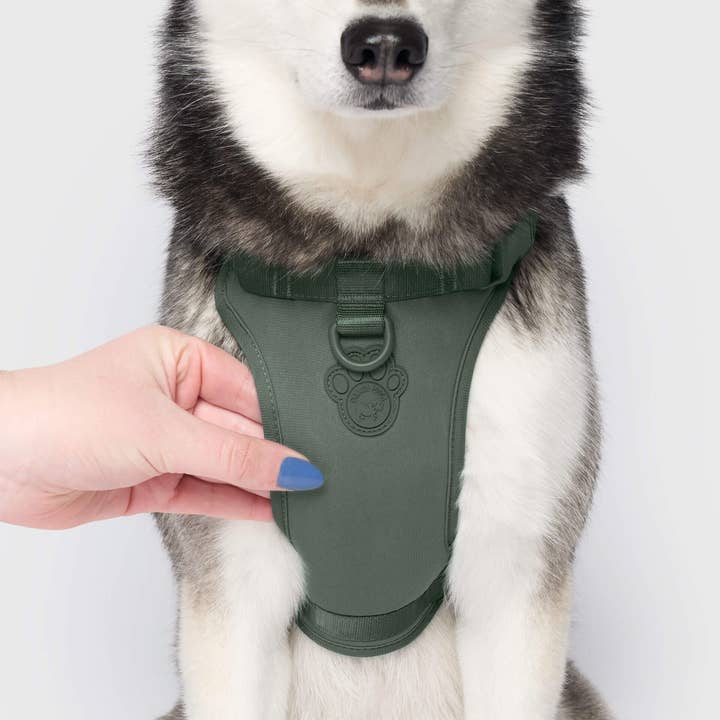 Canada Pooch - Wholesale Pet Harness - Dog - Everything Neoprene Harness- Dog Harness13