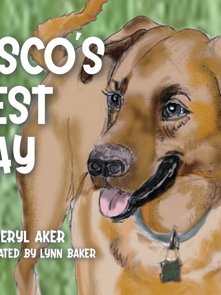 Cisco's Best Day for wholesale by Sawdust Publishing