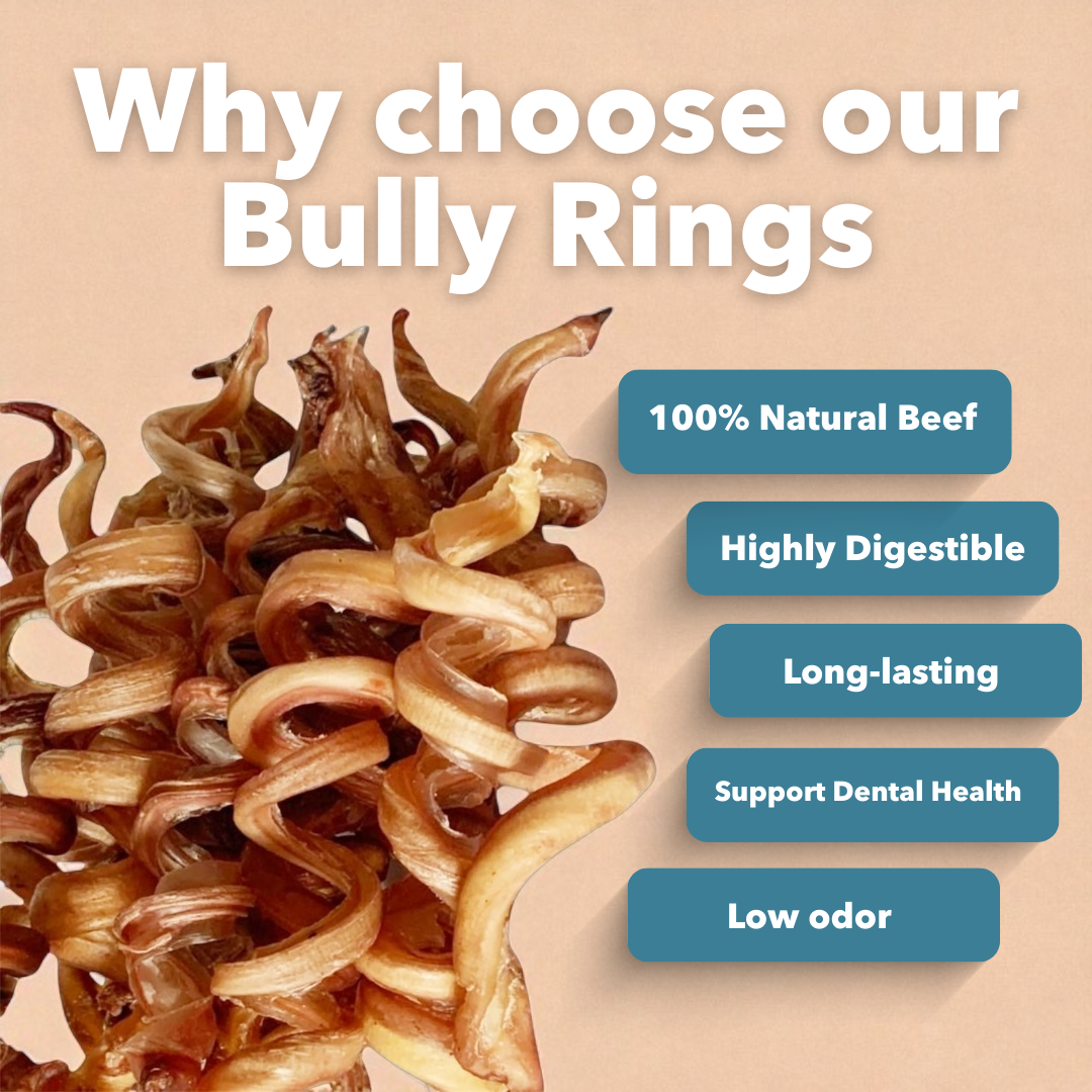 Mighty Chewz - Wholesale Pet Treats - Dog - 6-9" Bulk Bully Springs (Case Price: $3.51/Stick)4