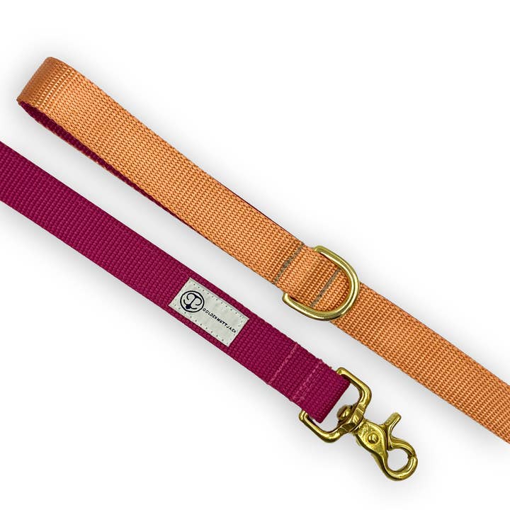 Raspberry + Coral Leash for wholesale by Golden Mutt Jack