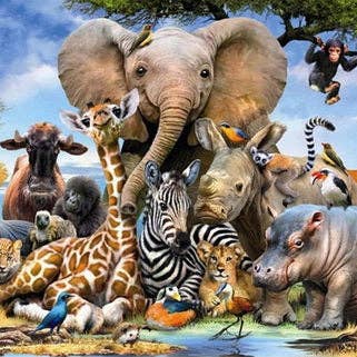 Safari Animals Square 30x40 for wholesale by Art for Anxiety