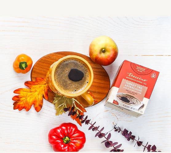 Teeccino - Wholesale Health/Detox Tea - Turkey Tail Astragalus Toasted Maple Mushroom Herbal Tea1