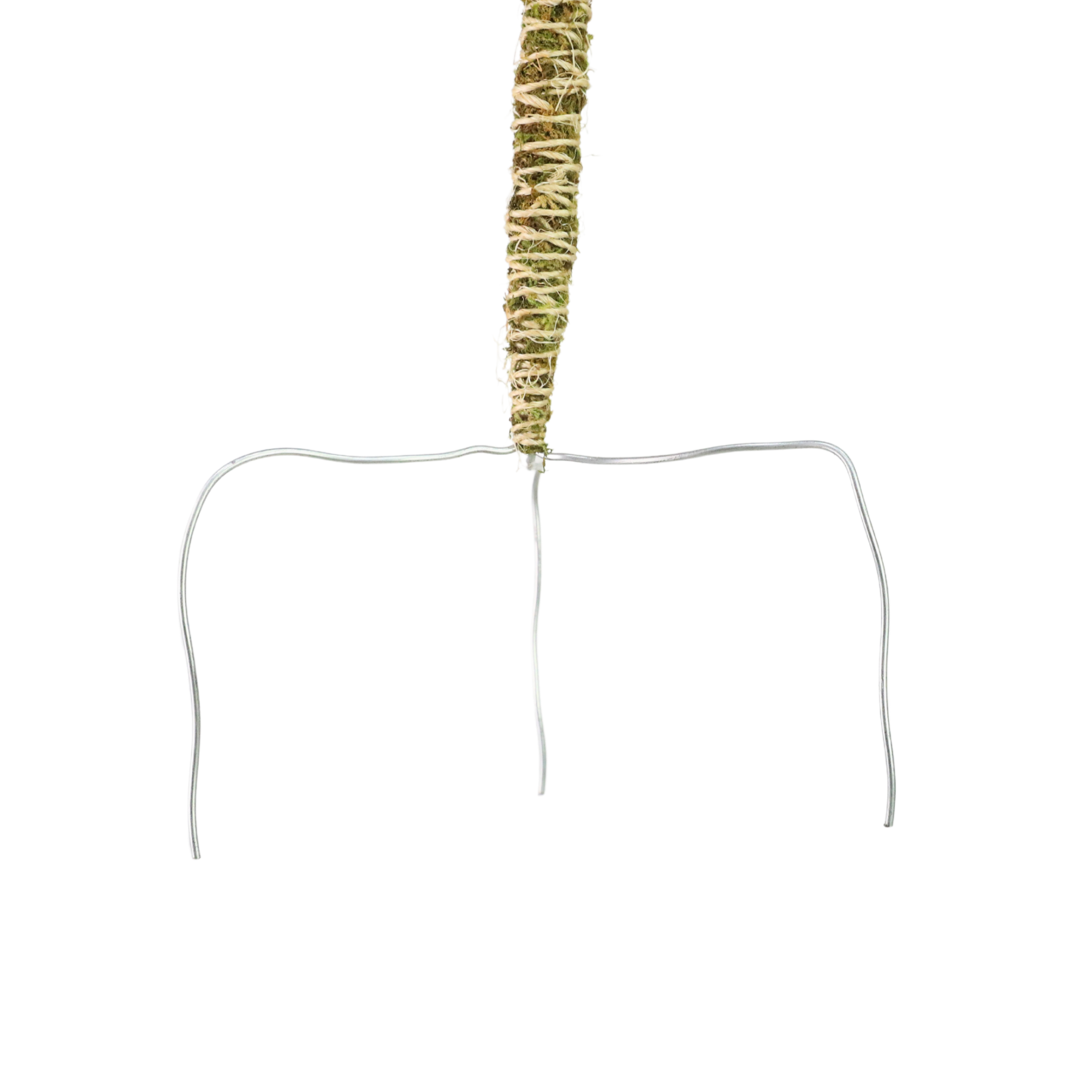 Mossify - Wholesale Garden Tool - 3 Pack Bendable Moss Pole Thin – Flexible Support for Plants11