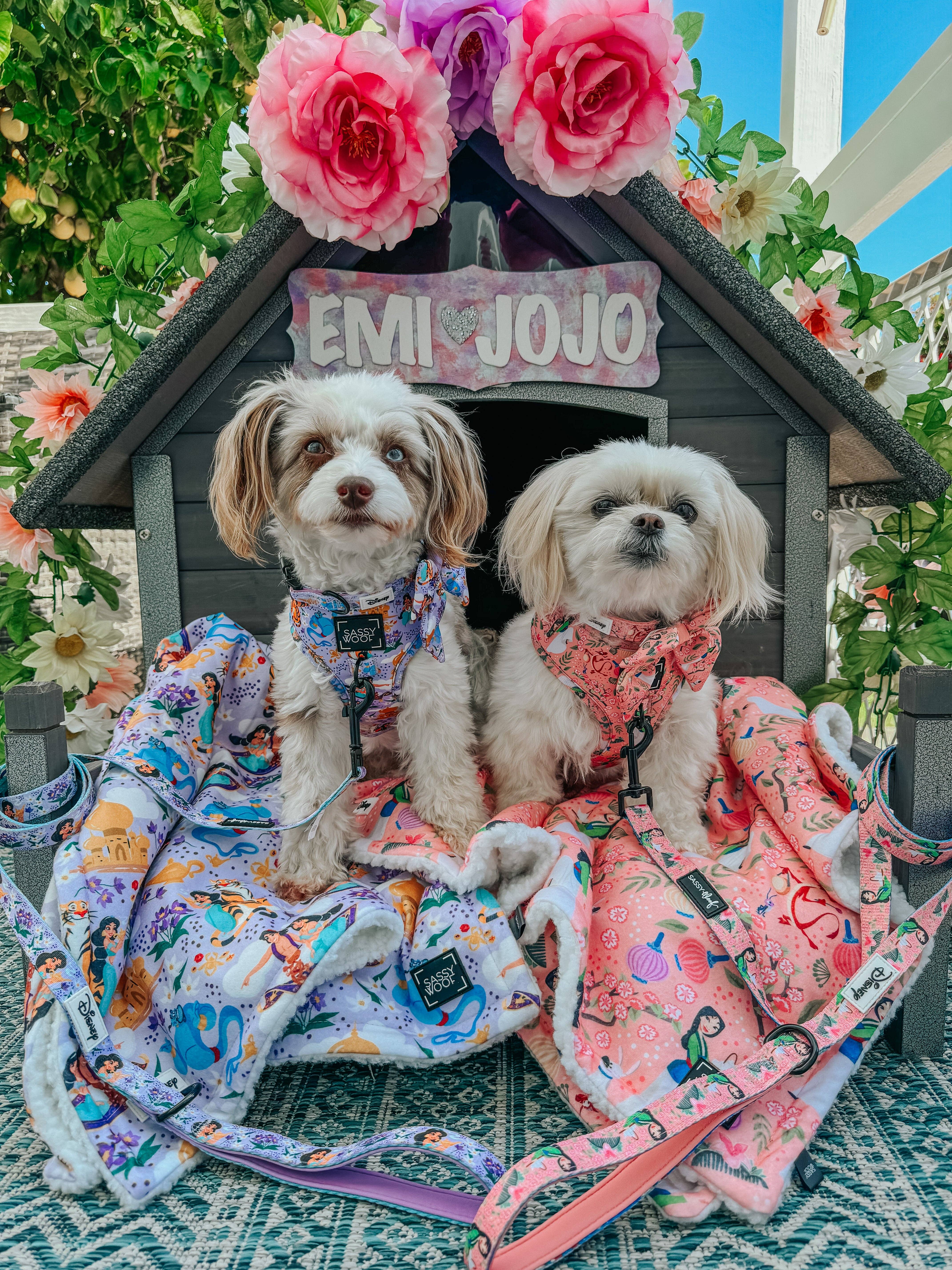 SASSY WOOF - Wholesale Pet Harness - Dog - Dog Adjustable Harness - Disney's Jasmine9