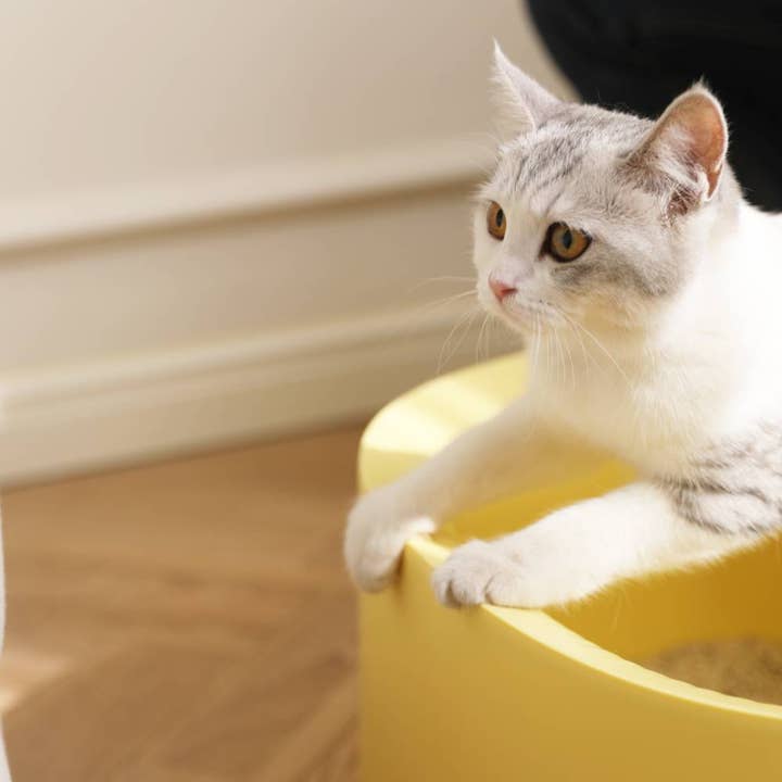 MichuPet - Vente Bac à litière – chat - MichuPet Bac à litière ouvert crème et blanc à bords hauts17