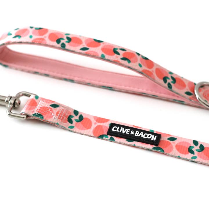 Just Peachy Dog Leash for wholesale by Clive and Bacon, LLC