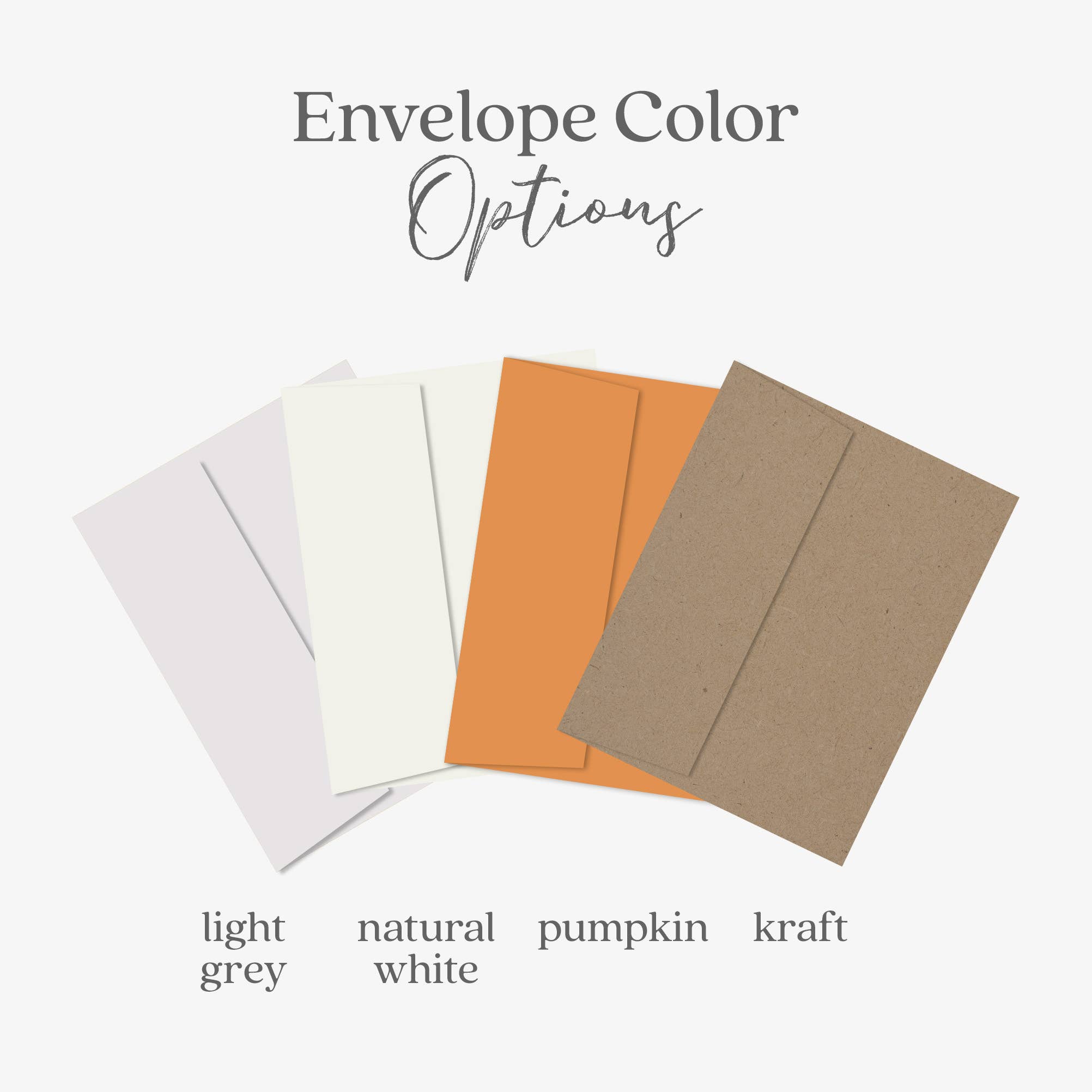 Blue Thistle - Wholesale Thank You Card - Thank You Floral Greeting Card, Plant thanks, Greenery5