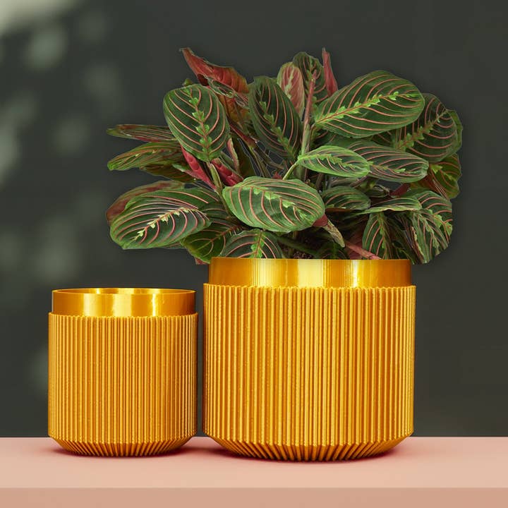 Fioriera Cadence con Drenaggio e Vassoio di Raccolta per la vendita all'ingrosso da parte di Rosebud Homegoods