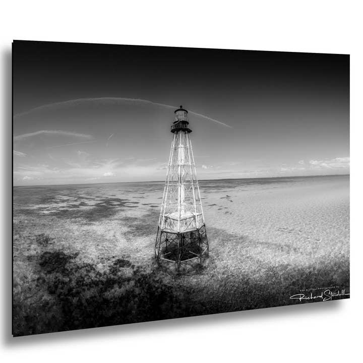 Impression du récif Alligator - Côtier - 16x20 pouces pour la vente par 998 Millibar Photography