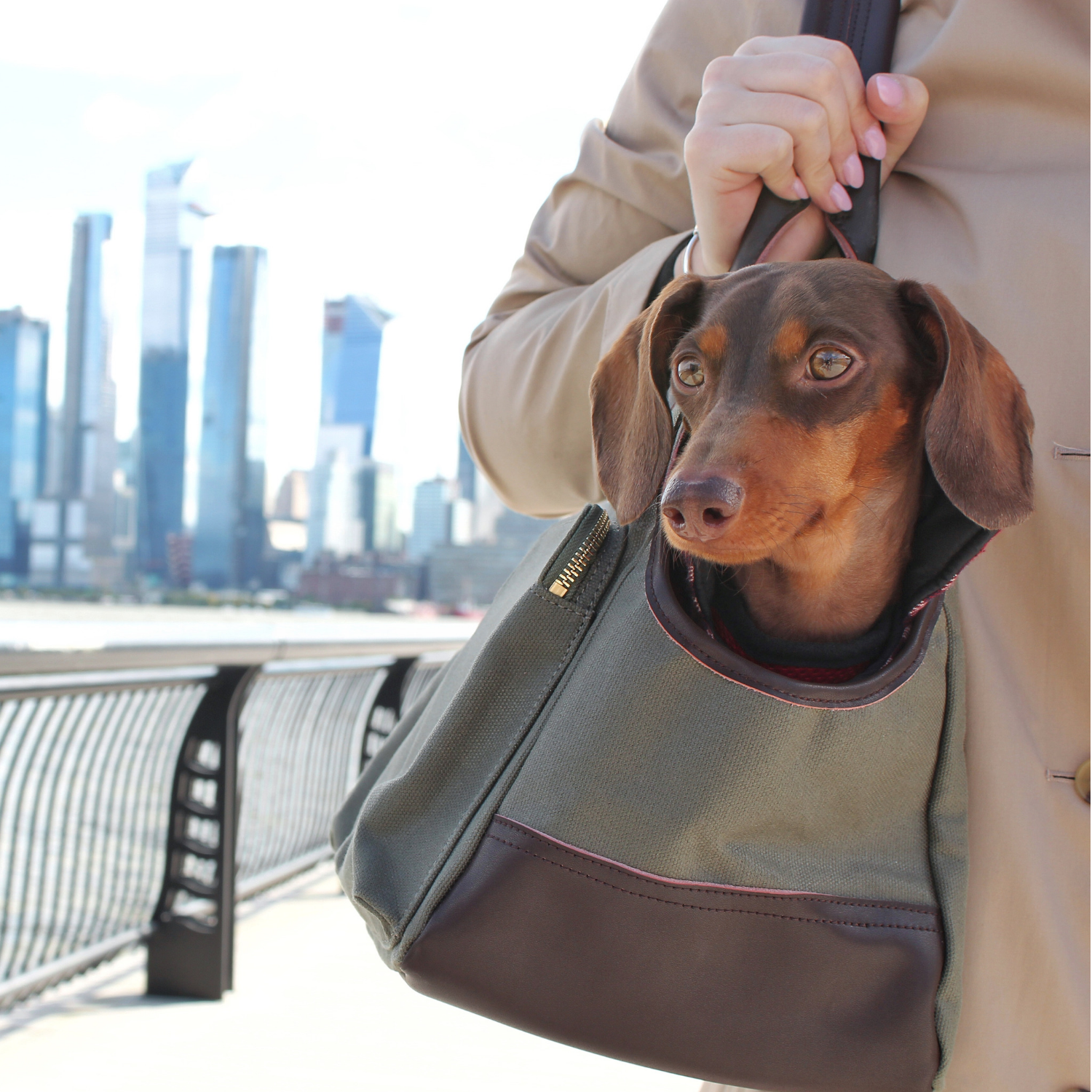DJANGO - Wholesale Pet Carrier - Dog - Dog Carrier Bag - Olive Green Waxed Canvas and Leather3