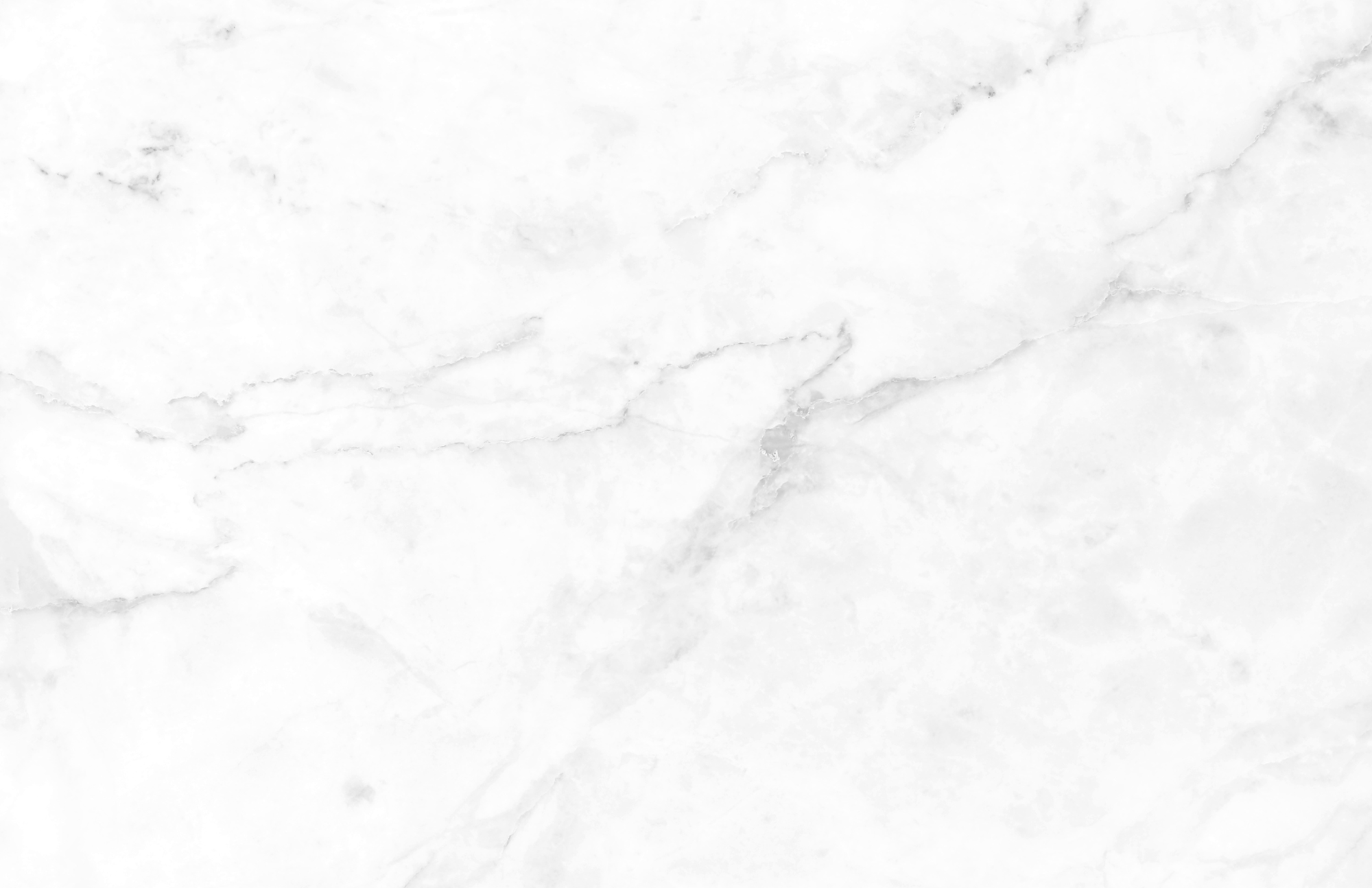 TAYLOR GRAY - Wholesale Serving Tray - 11x17 CHARCUTERIE MAP insert set of 109