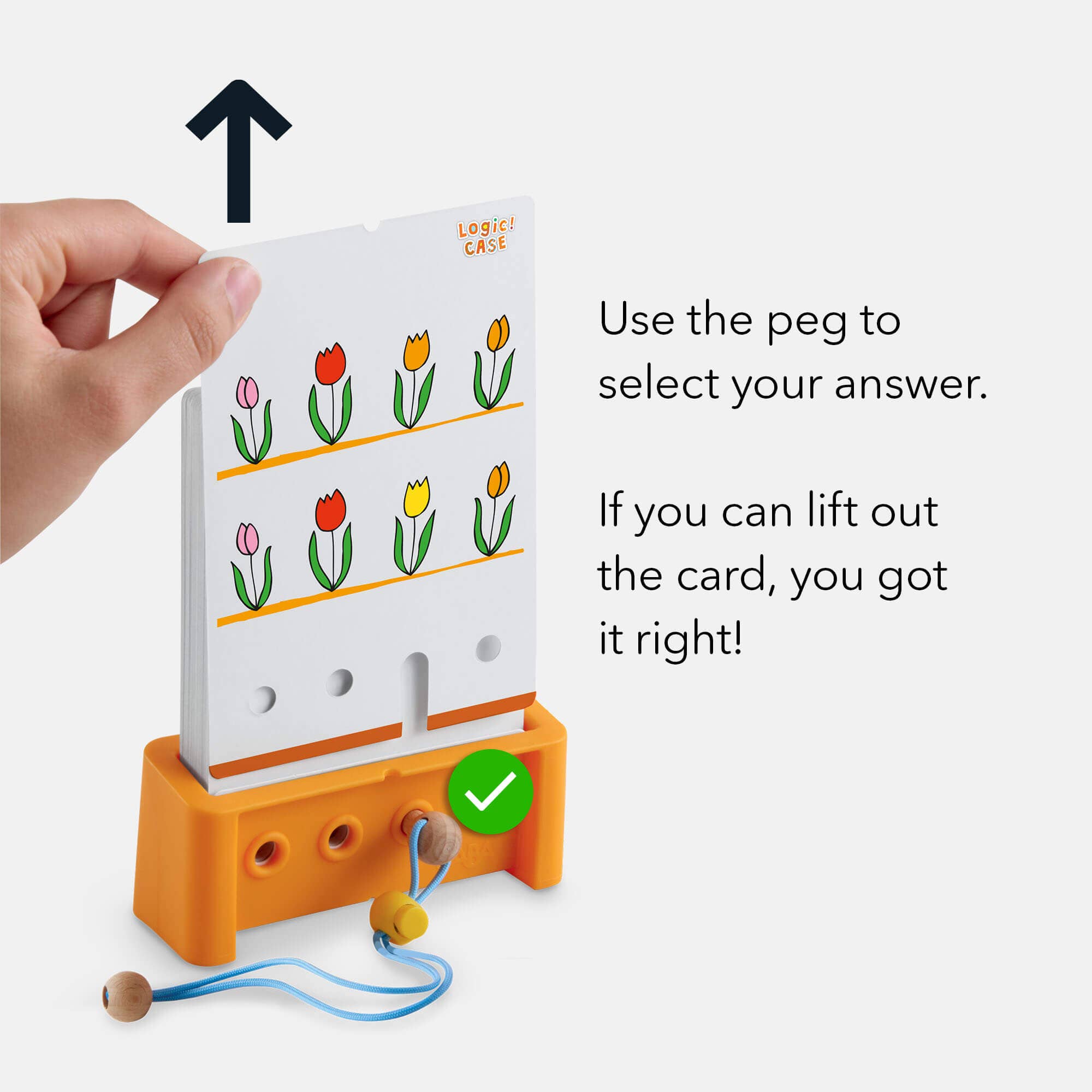 HABA USA - Wholesale Brain Game - Kids - Logic! CASE Starter Set 4+4