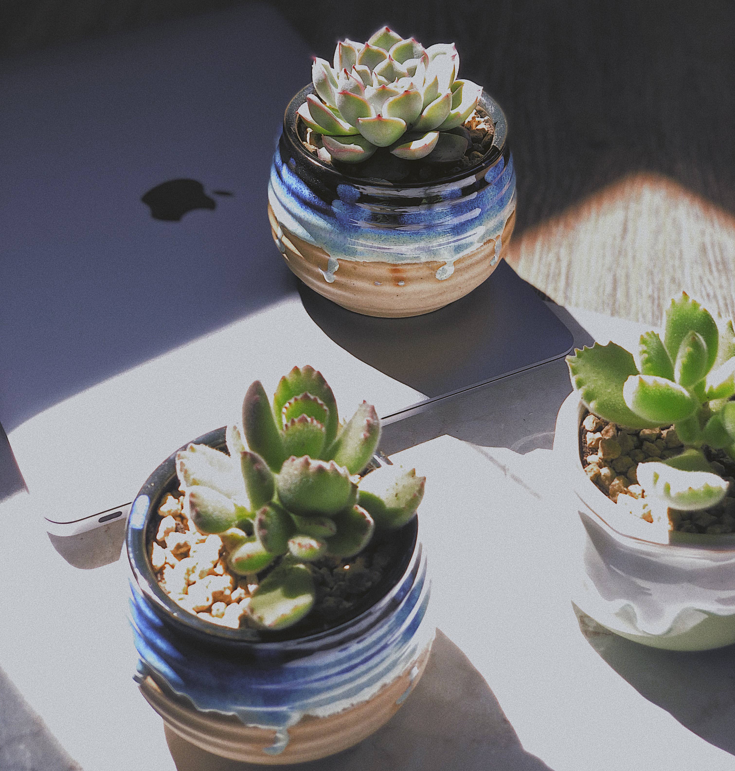 Springer Décor - Venta al por mayor Macetas - Maceta Water Drop con drenaje para plantas y decoración9