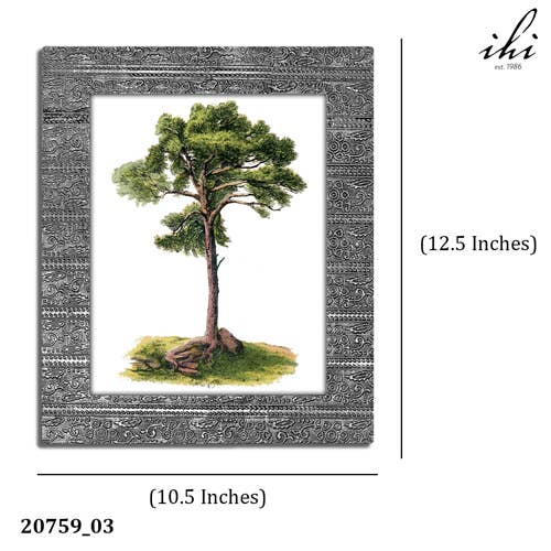 India Handicrafts Inc - Wholesale Picture frame - Vintage Contrasting 8x10 Frames, Asst. 24