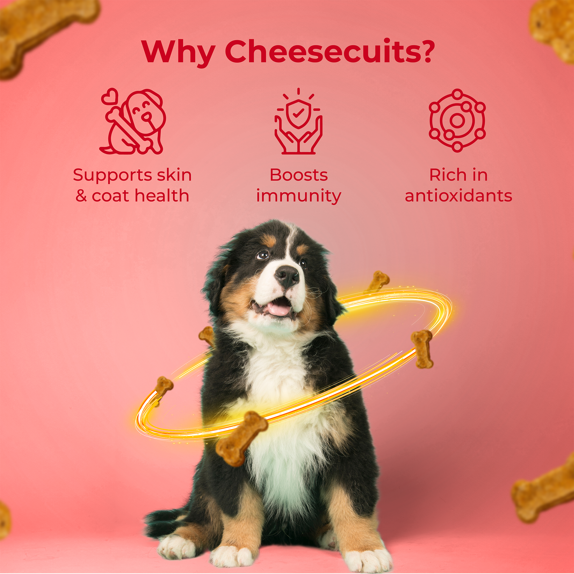 Pawfect Foods - Venta al por mayor Chuches - Perros - Pawfect Cheesecuits | Galletas de queso con manzana, huevos y canela para perros | Premios de entrenamiento totalmente naturales | Premios de alta proteína | Sin cereales | Hipoalergénico (100g/3.53oz)3