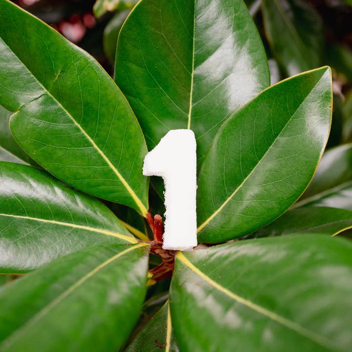 Love Liparu - Wholesale Pet Treats - Dog - MARSHMALLOW NUMBER | Freeze-Dried Dog + Cat Treat2