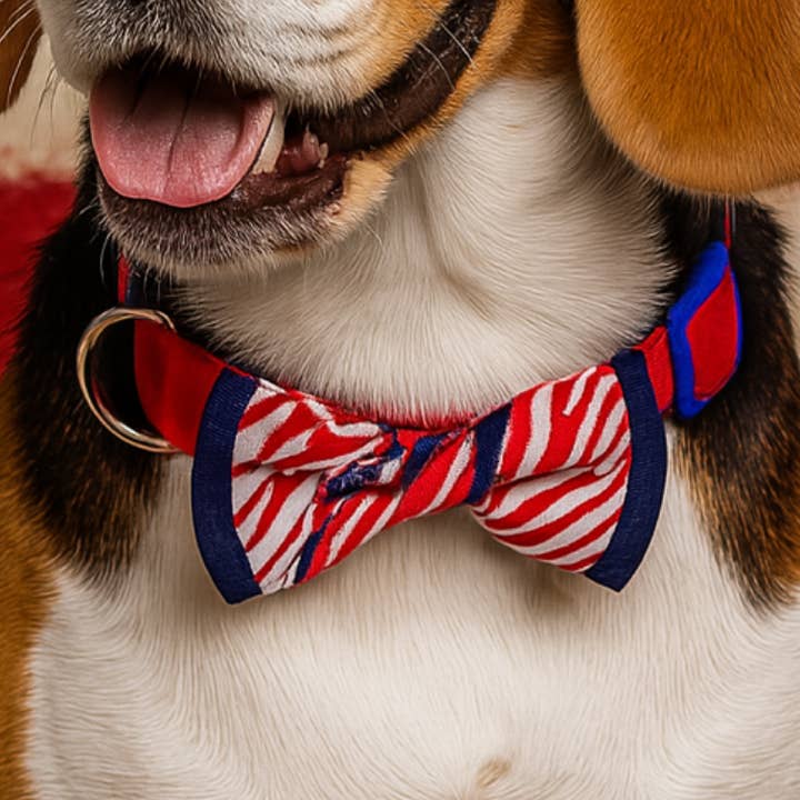 Bowtie Dog Collar, American Flag Artistic Pet Collar for wholesale by Blueberry Pet