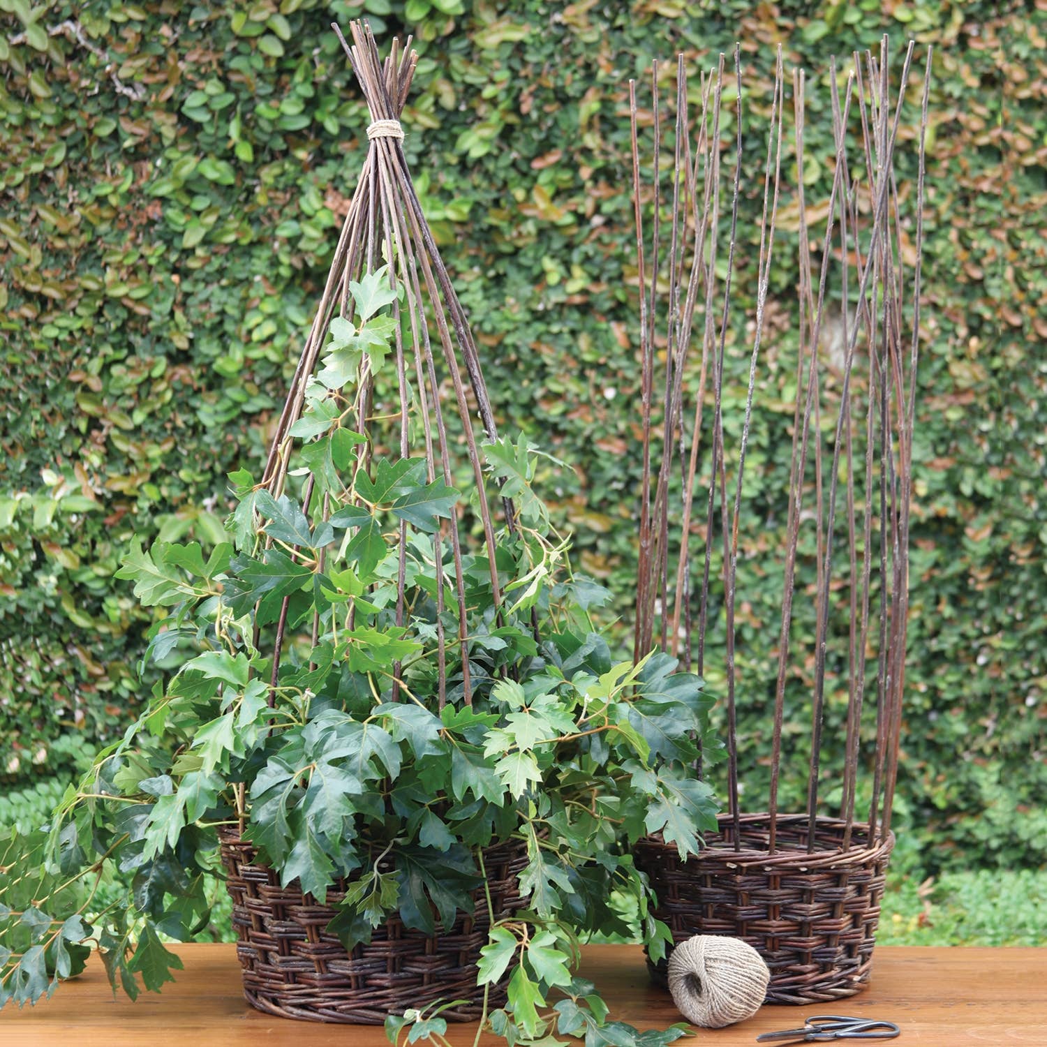 HomArt - Wholesale Basket - Willow Gathered Baskets - Set of 2 Natural3