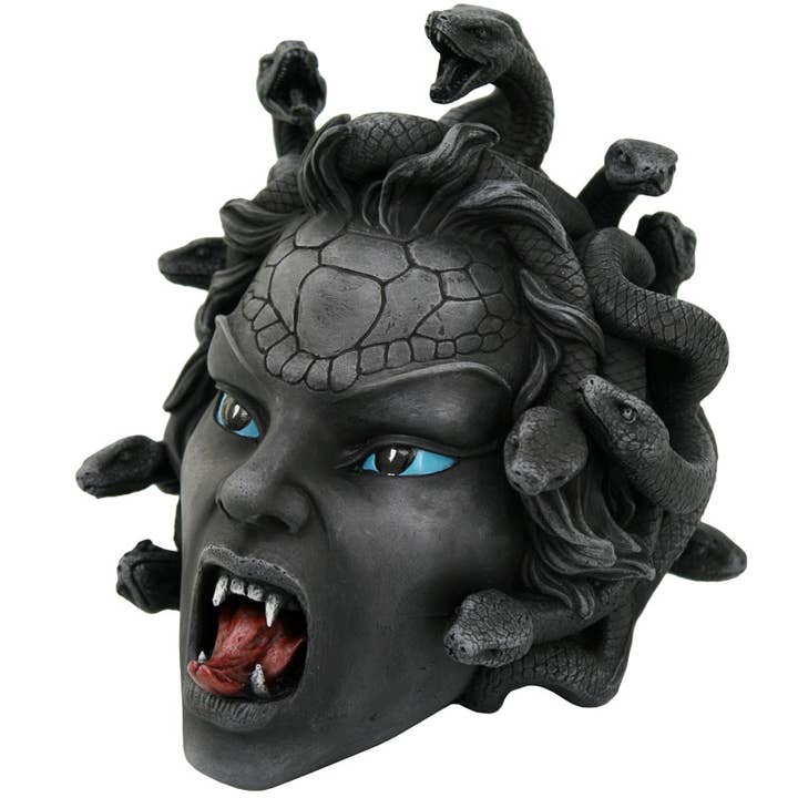 Medusa Head for wholesale by Pacific Trading