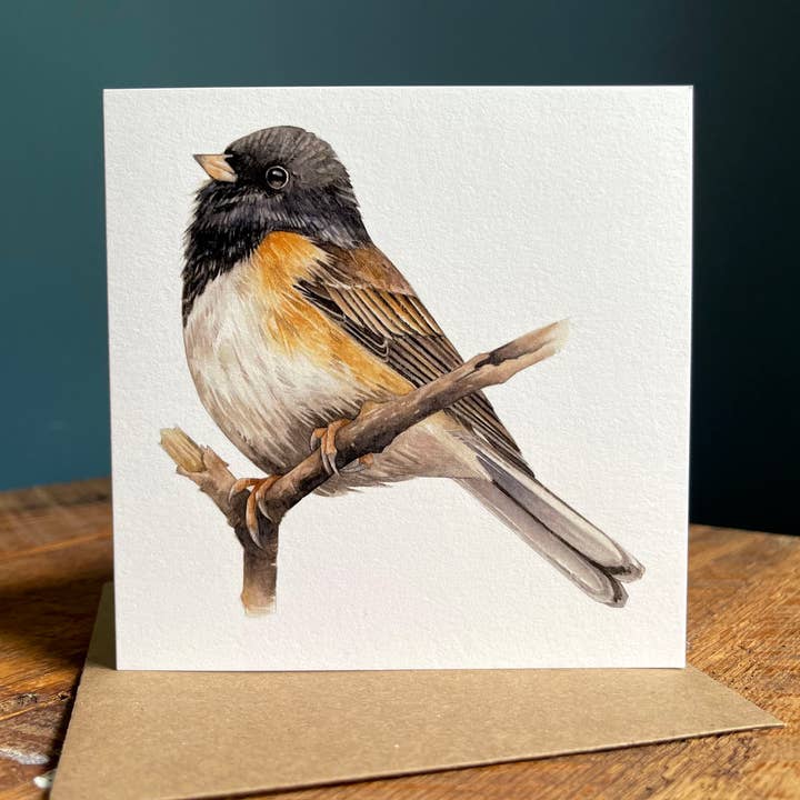 Oregon Junco - Blank Note Card for wholesale by Amy Shawley Paquette