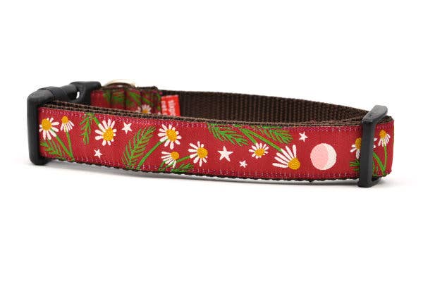 six point pet - Wholesale Pet Collar - Cat - Chamomile-Burgundy1
