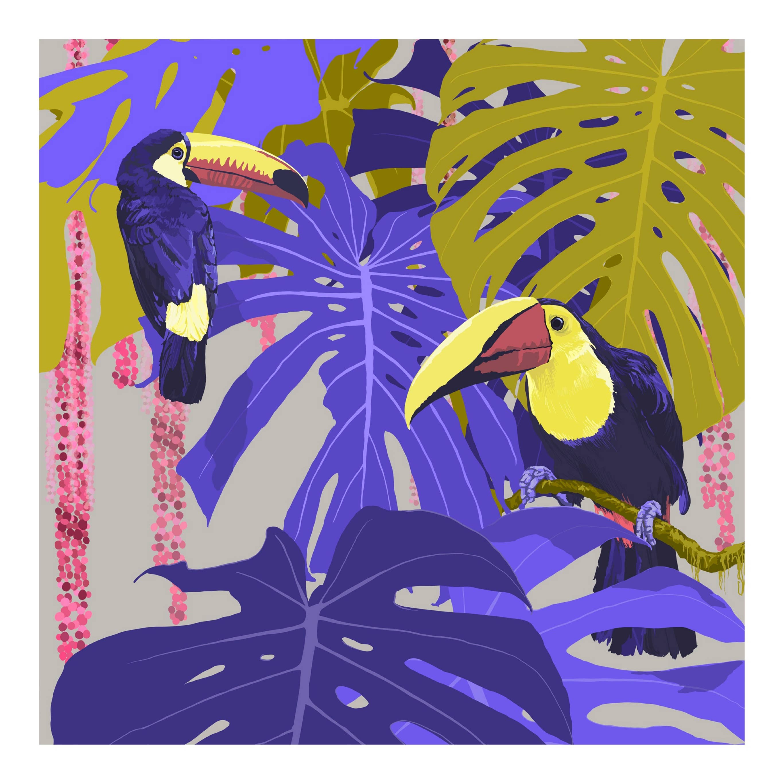 Rosie Reiter - Wholesale Art Print - Art Print ‘Toucans Amid Monstera’  30 x 30 cm1