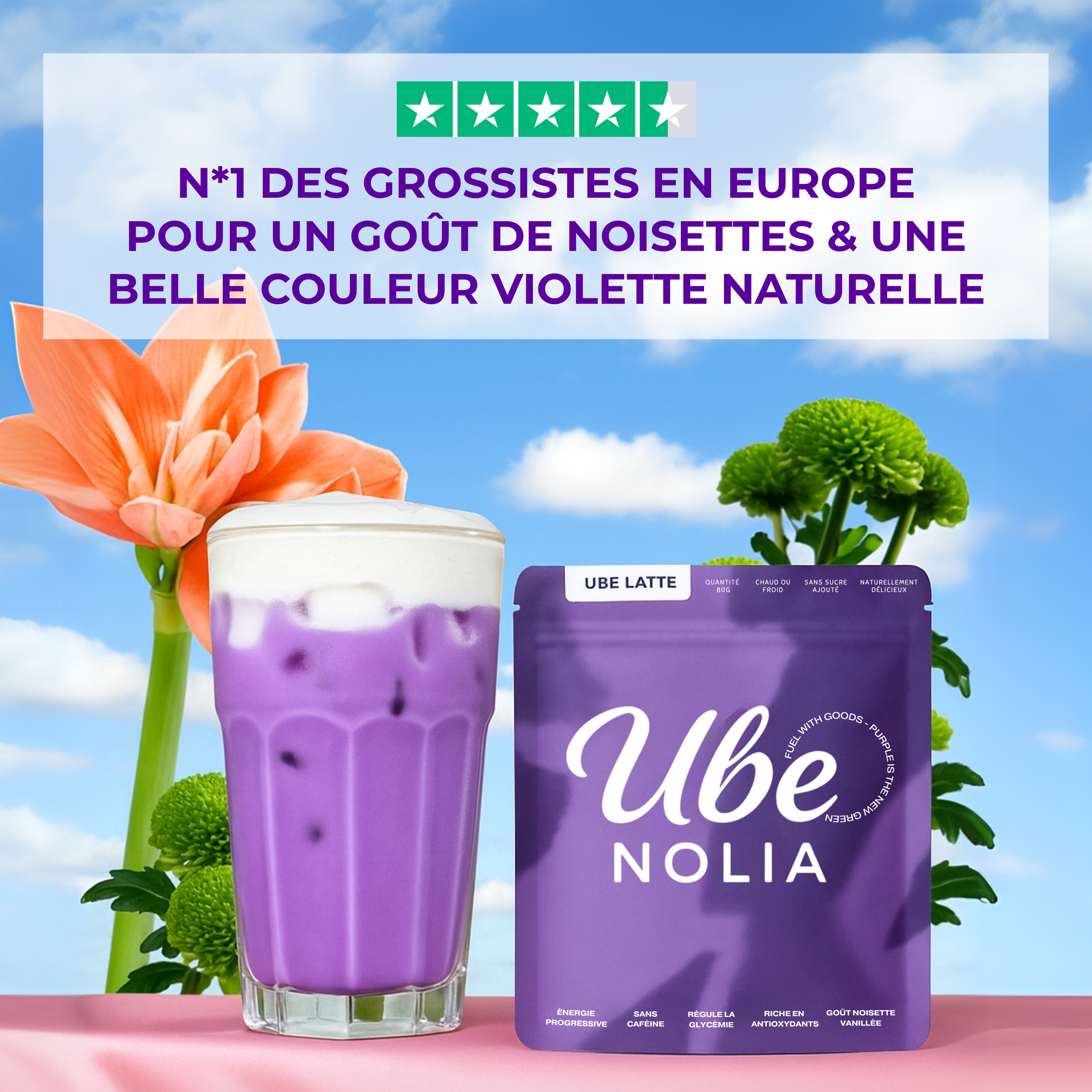 UBE NOLIA - Wholesale Powdered Health Drink - Premium Ube Latte Powder Philippines 100% Natural - 100g3