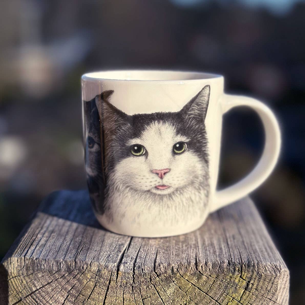 Charlotte Nicolin - Wholesale Coffee Mug - Cats - Coffee Mug
