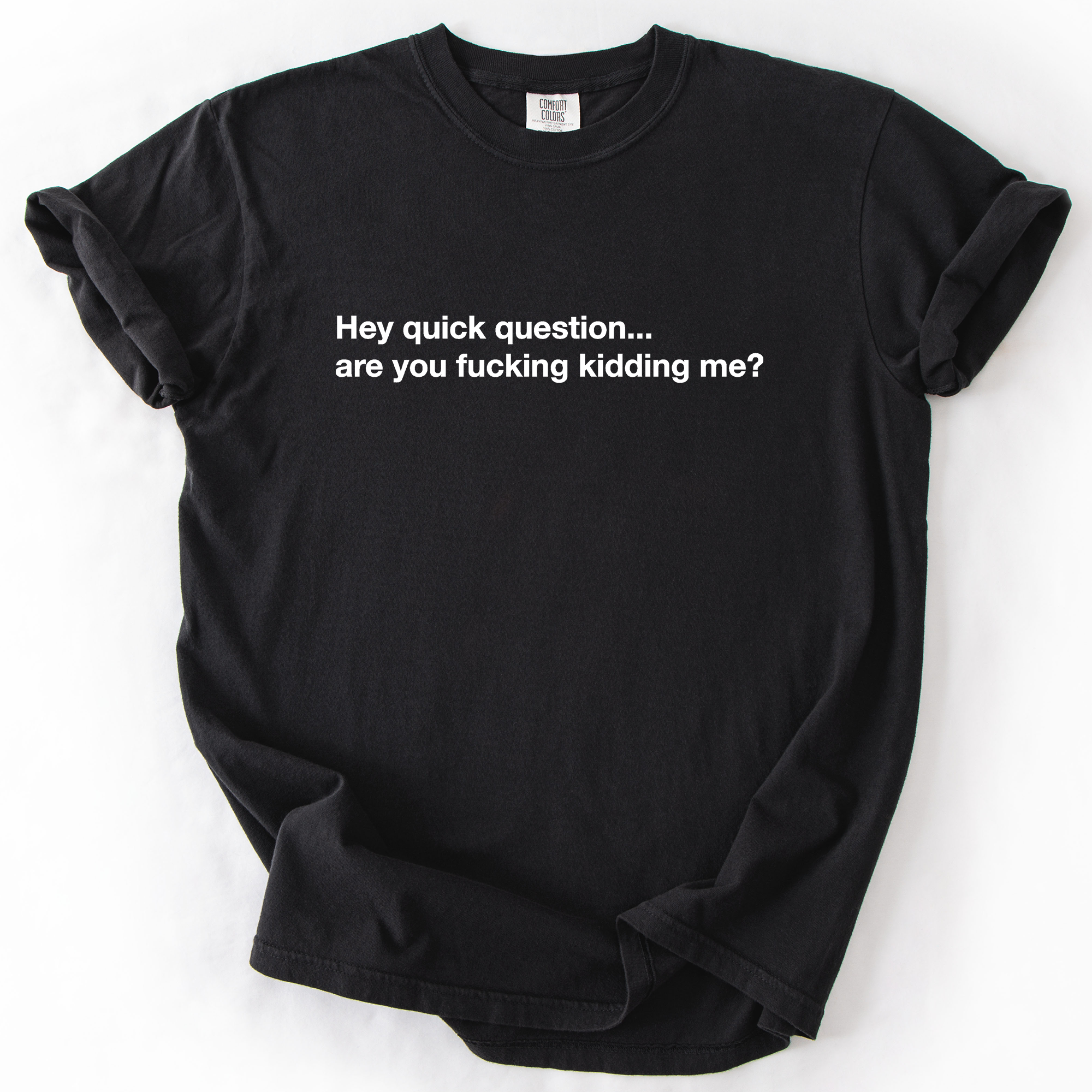 Refinery Number One LLC - Wholesale T-Shirt (Graphic) - Unisex - Hey Quick Question, Are You Kidding Me, Sarcastic T-Shirt0