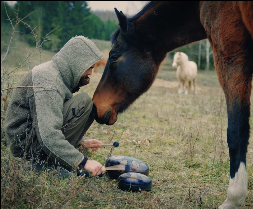 Sound Nest - Wholesale Musical Instrument - Steel Tongue Drum 12"/30cm Pentatonic Deep Bass Sound10